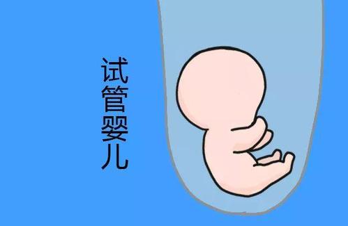 关于试管代孕包成功男孩